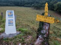 Camino de Santiago (El Primitivo)